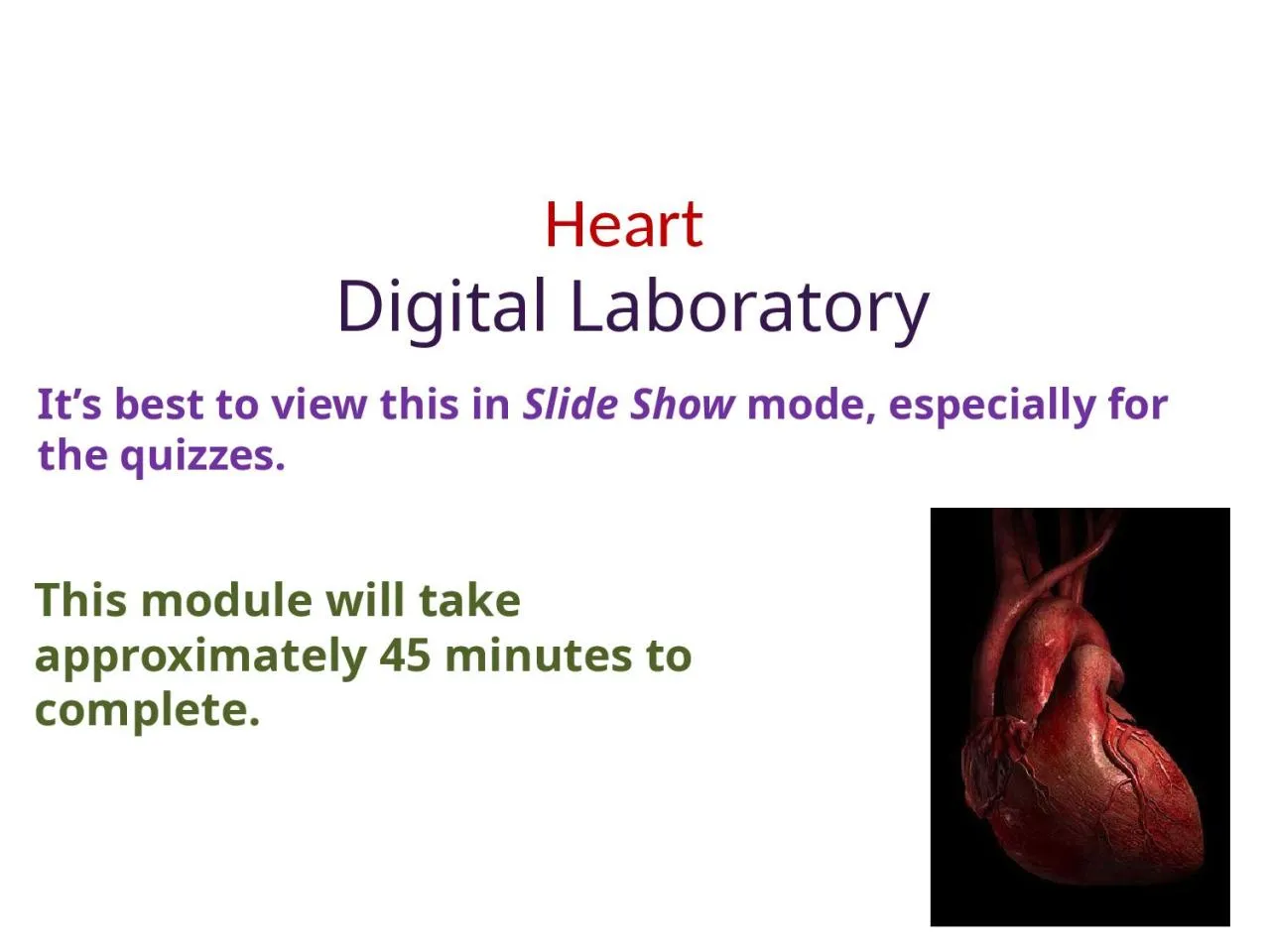 PPT-Heart Digital Laboratory