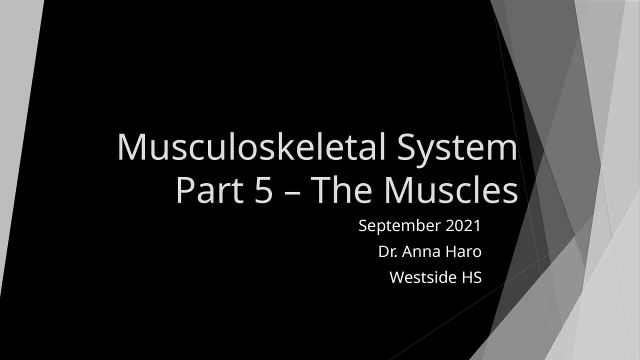 PPT-Musculoskeletal System Part 5 –