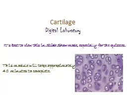 PPT-Cartilage Digital Laboratory