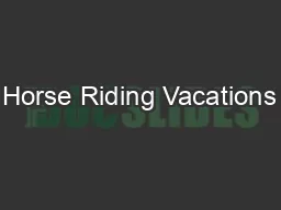 Horse Riding Vacations