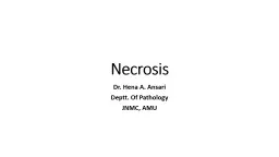 Necrosis Dr.  Hena  A. Ansari