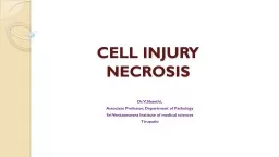 CELL INJURY    NECROSIS Dr.V.Shanthi