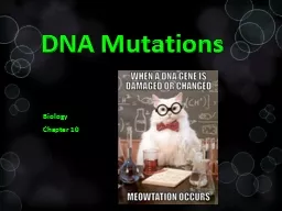 DNA Mutations Biology Chapter 10