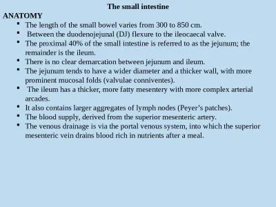 The small  intestine ANATOMY