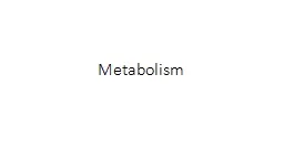 Metabolism Enzymes: review