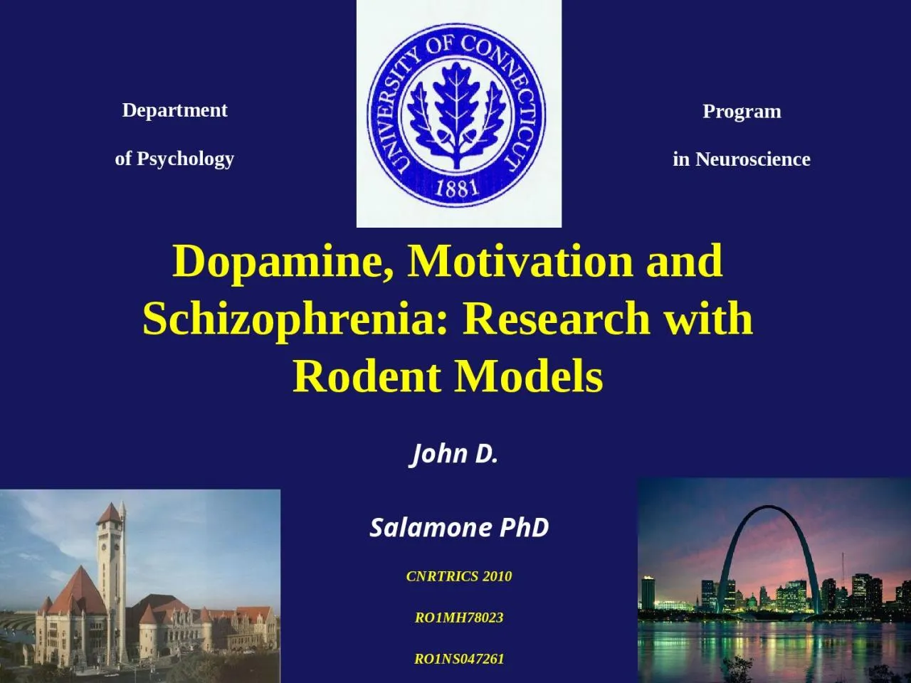 PPT-Dopamine, Motivation and Schizophrenia: Research with Rodent Models