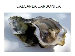 CALCAREA CARBONICA Dr.( M