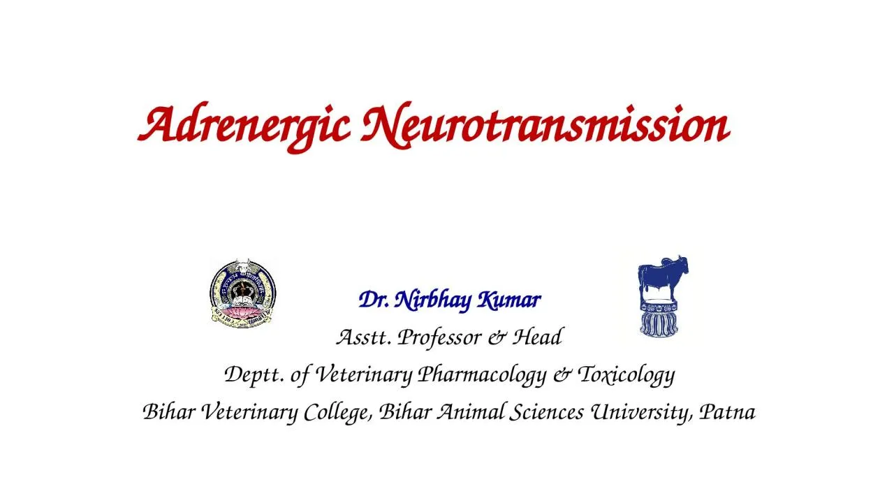 PPT-Adrenergic Neurotransmission