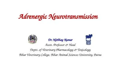 Adrenergic Neurotransmission