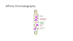 Affinity Chromatography Mobile phase