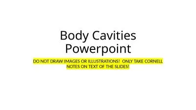 Body Cavities  Powerpoint