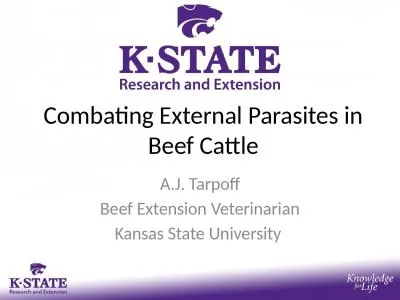 Combating External Parasites in Beef Cattle