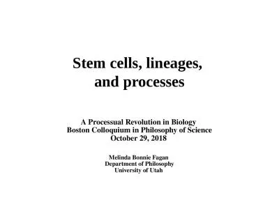 Stem  cells, lineages,  a