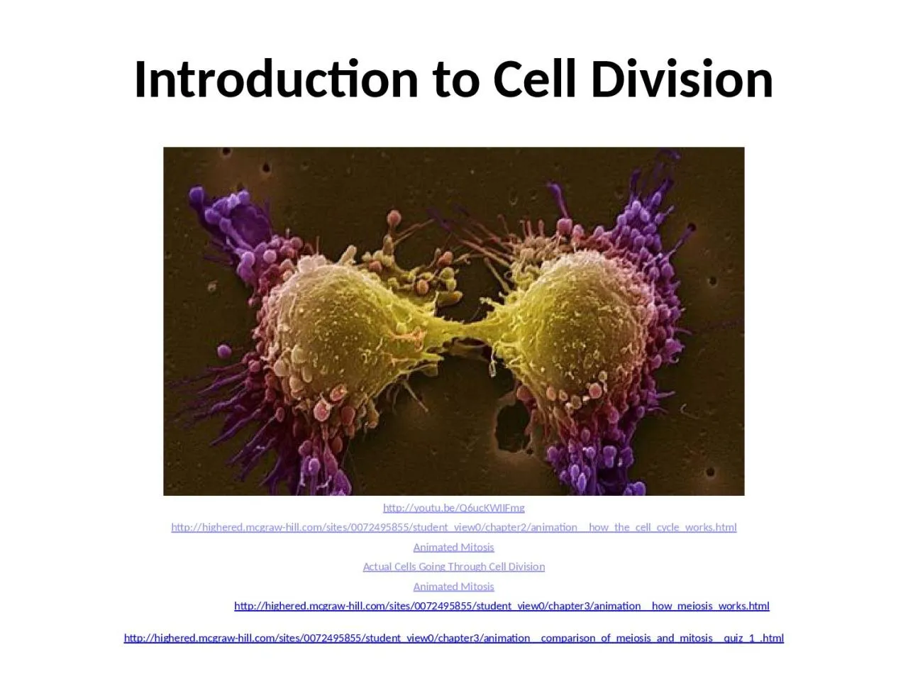 PPT-Introduction to Cell Division