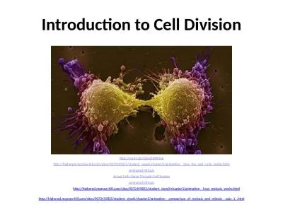 Introduction to Cell Division