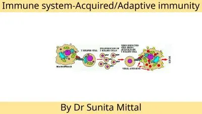 Immune  system-Acquired/Adaptive immunity