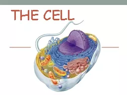 The Cell The structures within a cell function in providing protection and support, forming a barri