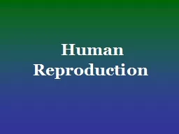 Human Reproduction Reproductive System