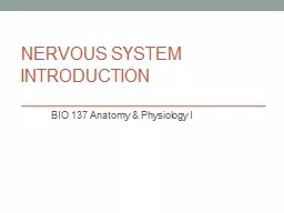 NERVOUS  SYSTEM  INTRODUCTION