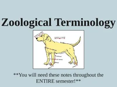 Zoological Terminology **You will need these notes throughout the ENTIRE semester!**