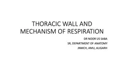 THORACIC WALL AND MECHANISM OF RESPIRATION