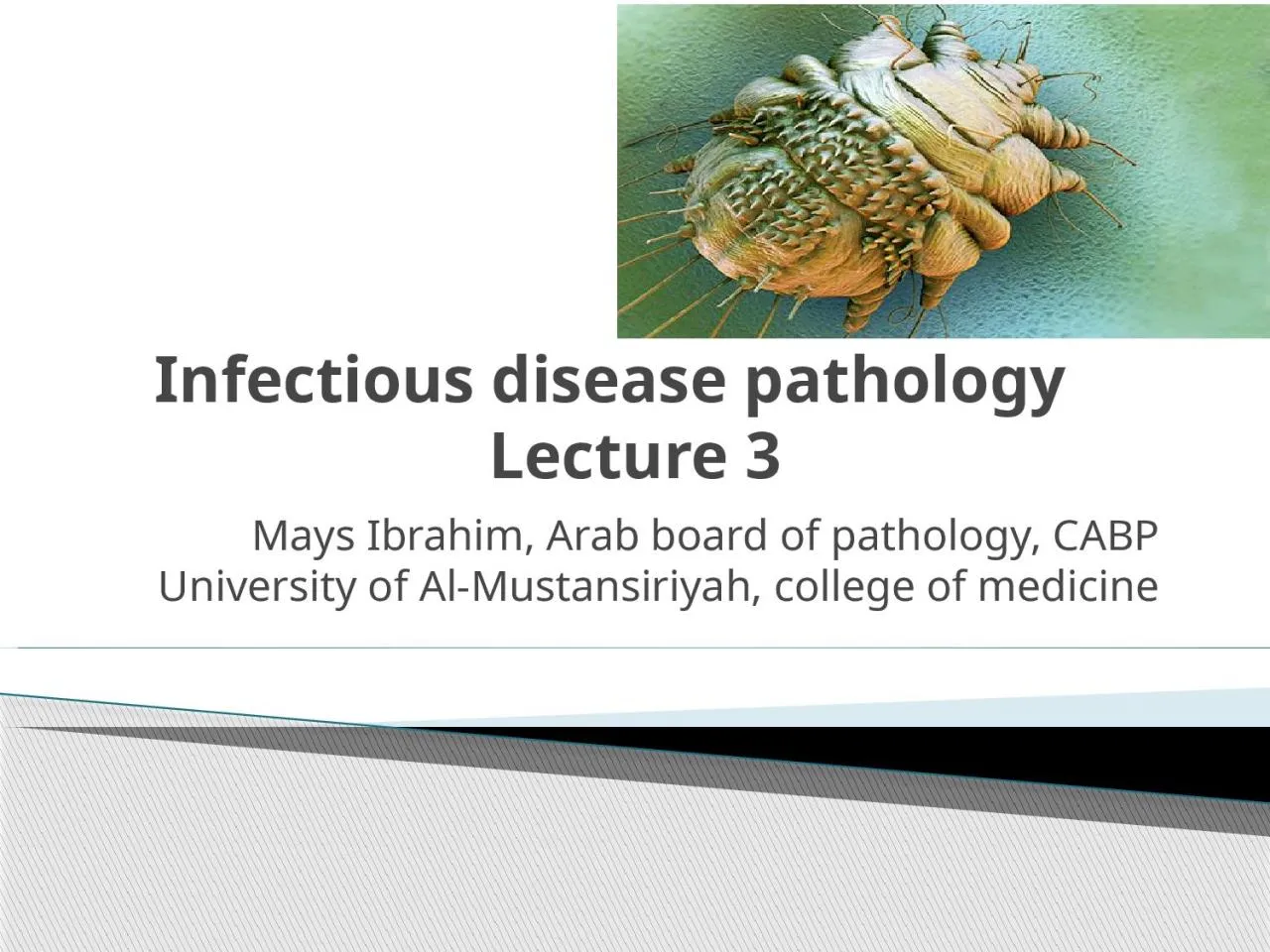 PPT-Infectious disease pathology Lecture