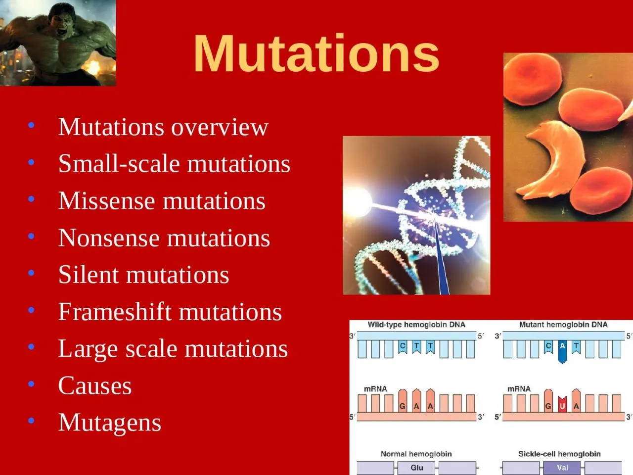 PPT-Mutations Mutations overview