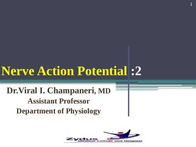 Nerve Action Potential  :2