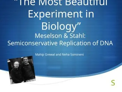 “The Most Beautiful Experiment in Biology”