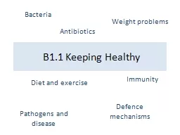 B1.1 Keeping Healthy  Diet and exercise