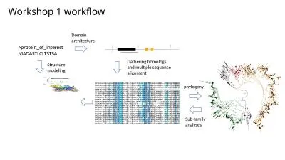 Workshop 1 workflow >