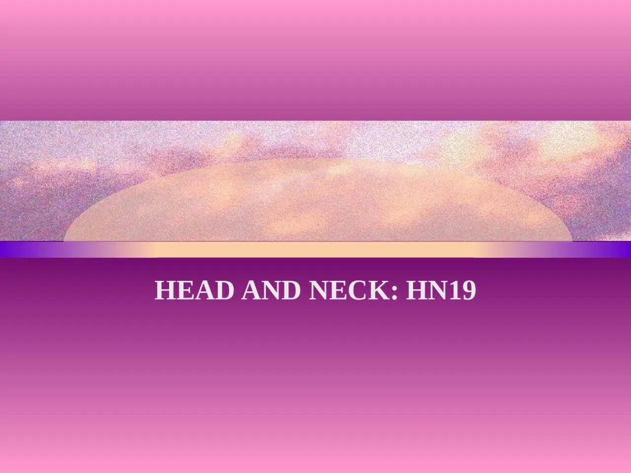 PPT-HEAD AND NECK : HN19 POST