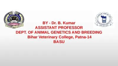 BY - Dr. B. Kumar ASSISTANT PROFESSOR