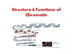 Structure & Functions of Chromatin