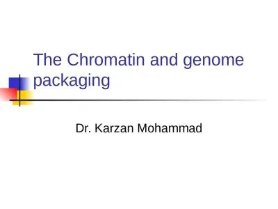 The Chromatin and genome packaging