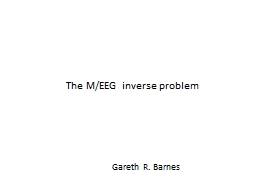 The M/EEG inverse problem