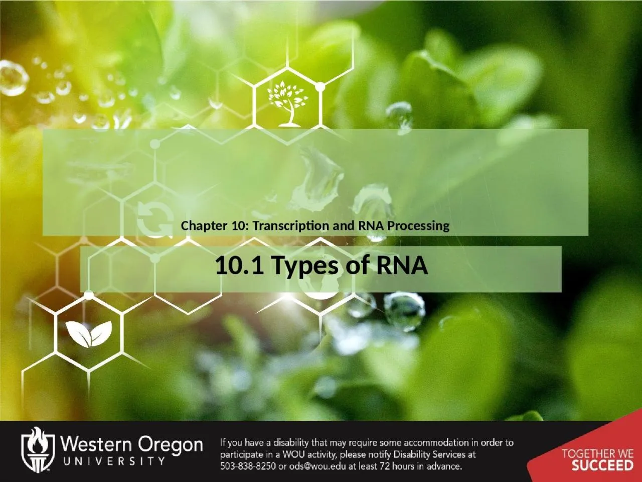 PPT-Chapter 10: Transcription and RNA Processing