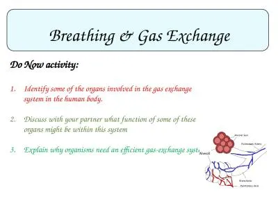 Breathing & Gas Exchange