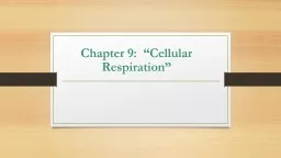 Chapter 9:   “Cellular Respiration”