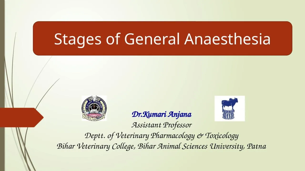 PPT-Stages of General Anaesthesia