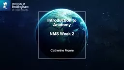 Introduction to Anatomy NMS Week 2