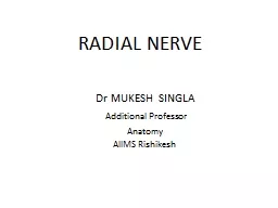 RADIAL NERVE    Dr MUKESH SINGLA