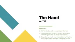 The Hand pp. 782 Objectives:
