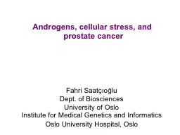 PPT-Androgens, cellular stress, and