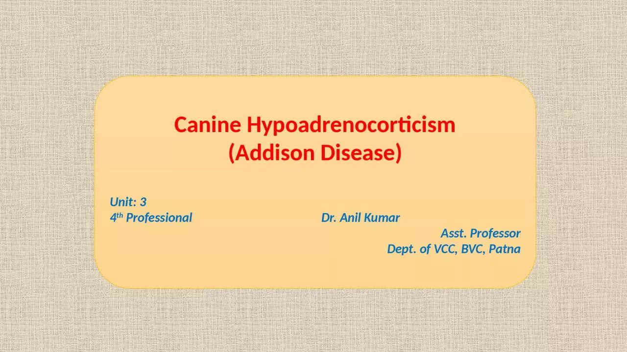 PPT-Canine Hypoadrenocorticism