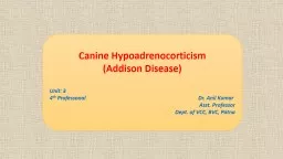 Canine  Hypoadrenocorticism