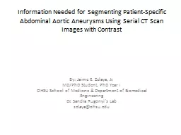 Information Needed for Segmenting Patient-Specific Abdominal Aortic Aneurysms Using Serial