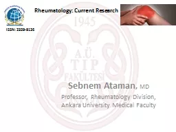 Sebnem   Ataman ,  MD Professor, Rheumatology Division