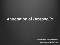 Annotation of  Drosophila