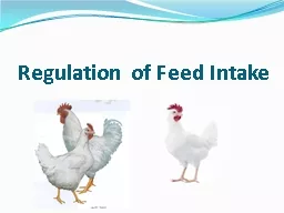 Regulation of Feed Intake